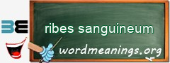 WordMeaning blackboard for ribes sanguineum